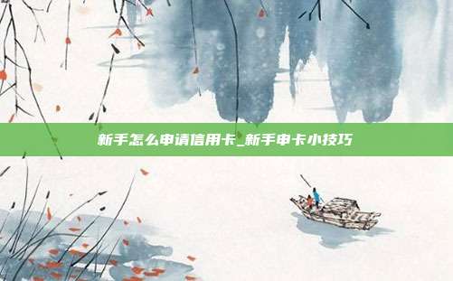 新手怎么申请信用卡_新手申卡小技巧