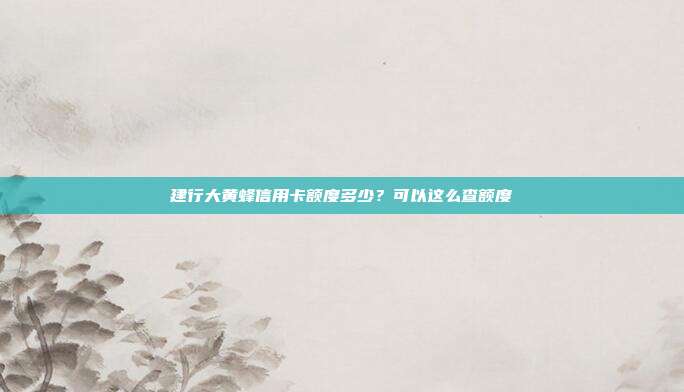 建行大黄蜂信用卡额度多少？可以这么查额度