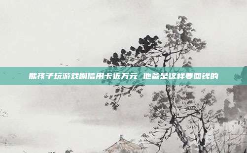 熊孩子玩游戏刷信用卡近万元 他爸是这样要回钱的