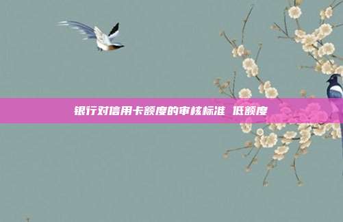 银行对信用卡额度的审核标准 低额度