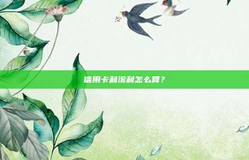 信用卡利滚利怎么算?
