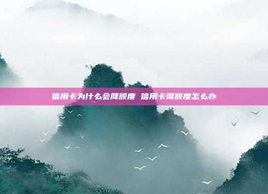 信用卡为什么会降额度 信用卡降额度怎么办
