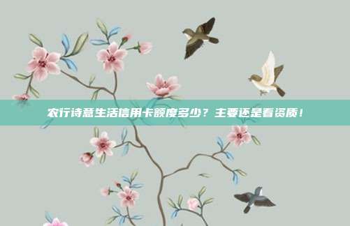 农行诗意生活信用卡额度多少?主要还是看资质!