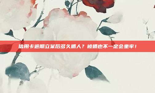信用卡逾期立案后多久抓人?被抓也不一定会坐牢!