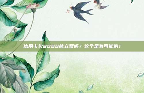 信用卡欠8000能立案吗?这个是有可能的!
