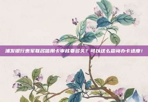 浦发银行惠军联名信用卡审核要多久?可以这么查询办卡进度!