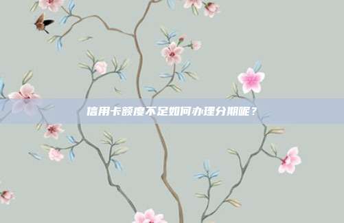 信用卡额度不足如何办理分期呢?