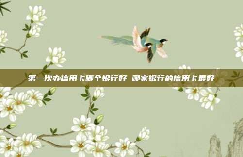 第一次办信用卡哪个银行好 哪家银行的信用卡最好