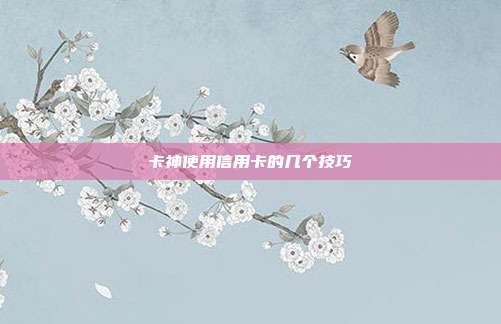 卡神使用信用卡的几个技巧