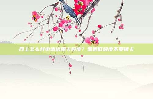 网上怎么样申请信用卡额度?遭遇低额度不要销卡