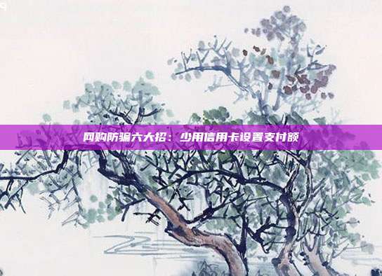 网购防骗六大招:少用信用卡设置支付额