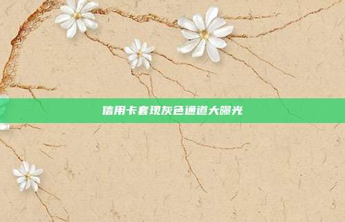 信用卡套现灰色通道大曝光
