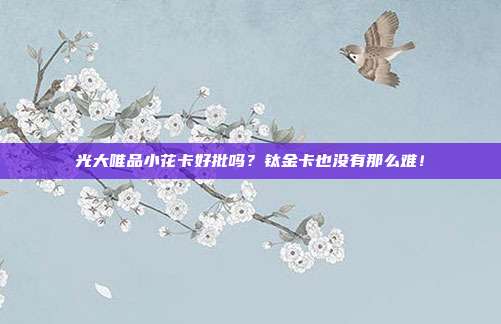 光大唯品小花卡好批吗？钛金卡也没有那么难！
