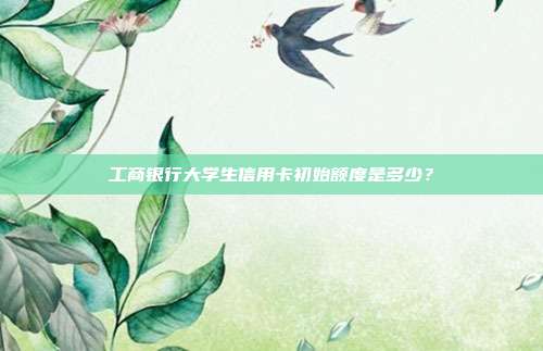 工商银行大学生信用卡初始额度是多少?