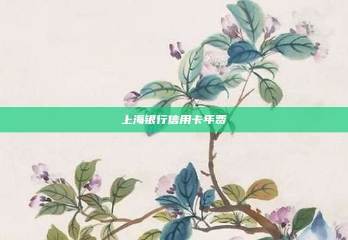 上海银行信用卡年费