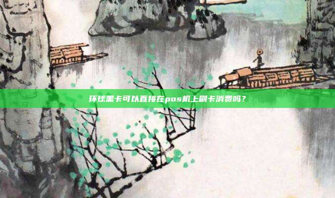 环球黑卡可以直接在pos机上刷卡消费吗?