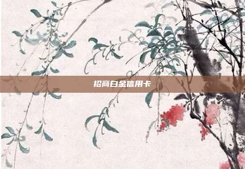 招商白金信用卡