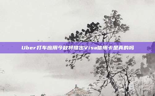 Uber打车应用今秋将推出Visa信用卡是真的吗