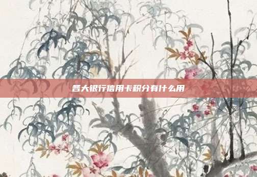 各大银行信用卡积分有什么用