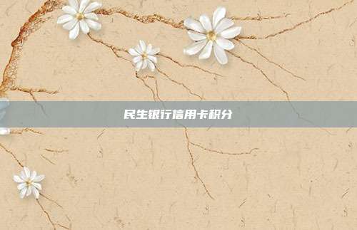 民生银行信用卡积分