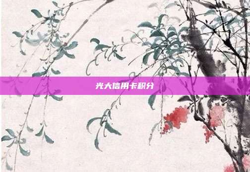 光大信用卡积分