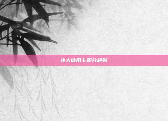光大信用卡积分规则