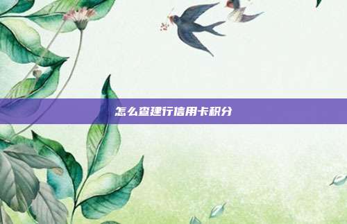 怎么查建行信用卡积分