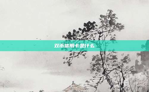 双币信用卡是什么