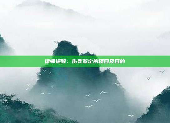 律师提醒:伤残鉴定的项目及目的