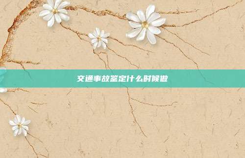 交通事故鉴定什么时候做