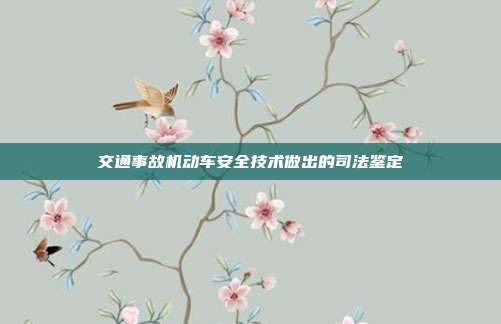 交通事故机动车安全技术做出的司法鉴定