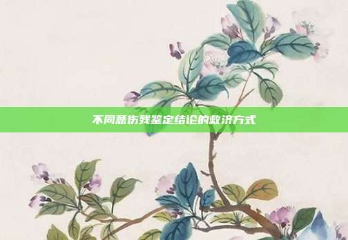 不同意伤残鉴定结论的救济方式