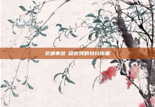 交通事故Ⅱ级伤残的划分依据