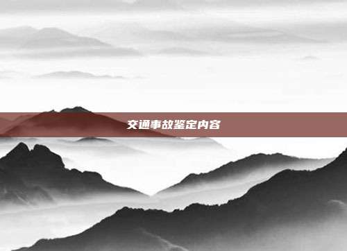 交通事故鉴定内容