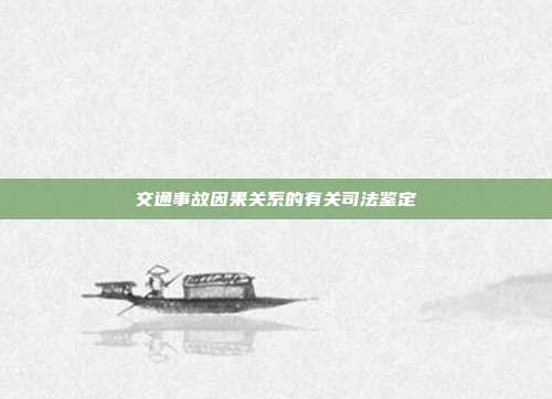 交通事故因果关系的有关司法鉴定