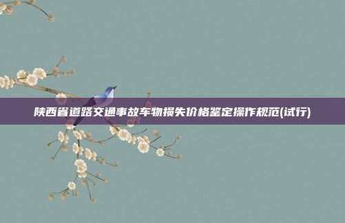 陕西省道路交通事故车物损失价格鉴定操作规范(试行)