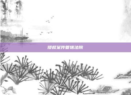 侵权案件管辖法院
