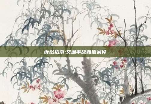 诉讼指南:交通事故赔偿案件