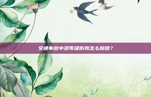 交通事故中多等级伤残怎么赔偿?