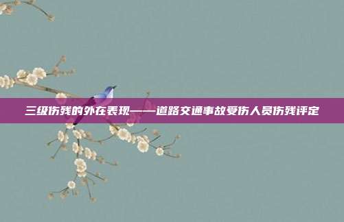 三级伤残的外在表现——道路交通事故受伤人员伤残评定