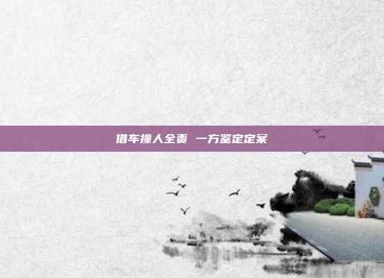 借车撞人全责 一方鉴定定案