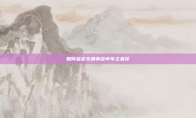 如何鉴定交通事故中车主责任