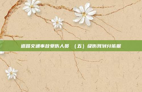 道路交通事故受伤人员Ⅴ(五)级伤残划分依据