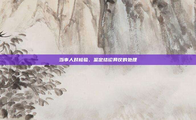 当事人对检验、鉴定结论异议的处理