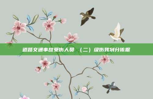 道路交通事故受伤人员Ⅱ(二)级伤残划分依据