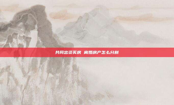 共同出资买房 离婚房产怎么分割