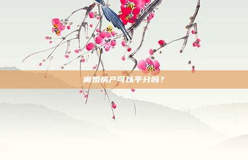 离婚房产可以平分吗?