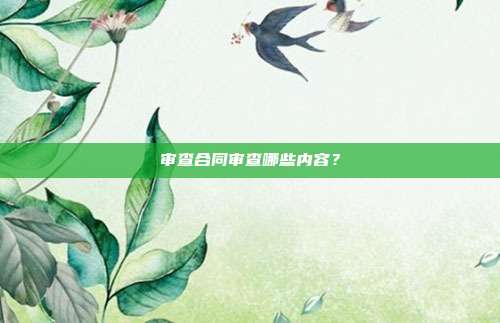 审查合同审查哪些内容?