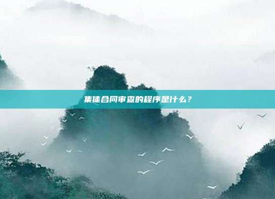 集体合同审查的程序是什么?