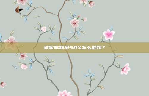 对客车超员50%怎么处罚?